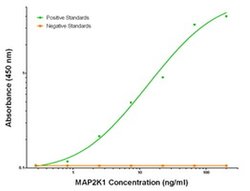 MAP2K1 Mouse anti-Human, Clone: OTI6C6, liquid, TrueMAB 100 &mu;g; Unconjugated:Antibodies,