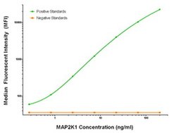 MAP2K1 Mouse anti-Human, Clone: OTI3E6, liquid, TrueMAB 100 &mu;g; Unconjugated:Antibodies,