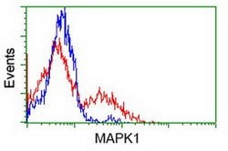 MAPK1 Mouse anti-Canine, Human, Rat, Clone: OTI6F8, lyophilized, TrueMAB