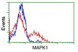 MAPK1 Mouse anti-Canine, Human, Rat, Clone: OTI6F8, liquid, TrueMAB 30