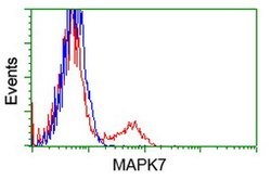 MAPK7 Mouse anti-Human, Clone: OTI3H2, lyophilized, TrueMAB 100 &mu;g;
