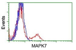 MAPK7 Mouse anti-Human, Clone: OTI3H2, liquid, TrueMAB 100 &mu;L; Unconjugated:Antibodies,