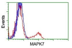 MAPK7 Monoclonal Antibody (OTI2E2), TrueMAB , OriGene 100 &mu;L; Unconjugated:Antibodies,