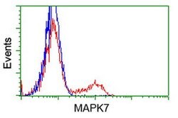 MAPK7 Mouse anti-Human, Clone: OTI4F9, lyophilized, TrueMAB 100 &mu;g;