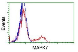 MAPK7 Monoclonal Antibody (OTI4F9), TrueMAB , OriGene 30 &mu;L; Unconjugated:Antibodies,