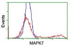 MAPK7 Monoclonal Antibody (OTI1G1), TrueMAB , OriGene 30 &mu;L; Unconjugated:Antibodies,