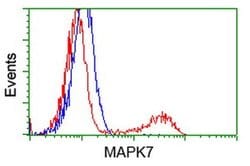 MAPK7 Monoclonal Antibody (OTI2F1), TrueMAB , OriGene 100 &mu;L; Unconjugated:Antibodies,