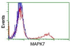 MAPK7 Monoclonal Antibody (OTI4D6), TrueMAB , OriGene 100 &mu;L; Unconjugated:Antibodies,