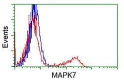 MAPK7 Monoclonal Antibody (OTI5B9), TrueMAB , OriGene 100 &mu;L; Unconjugated:Antibodies,