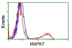 MAPK7 Monoclonal Antibody (OTI1A4), TrueMAB , OriGene:Antibodies:Primary