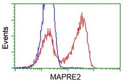MAPRE2 Mouse anti-Human, Clone: OTI1F3, lyophilized, TrueMAB 100 &mu;g;
