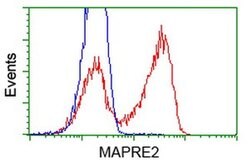 EB2 (MAPRE2) Monoclonal Antibody (OTI1F3), TrueMAB , OriGene 100 &mu;L;