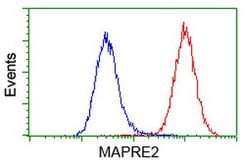 MAPRE2 Mouse anti-Human, Clone: OTI1F3, lyophilized, TrueMAB 100 &mu;g;