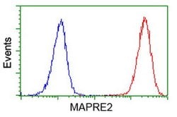 MAPRE2 Mouse anti-Human, Clone: OTI1F3, lyophilized, TrueMAB 100 &mu;g;