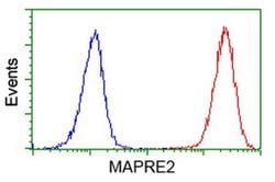 EB2 (MAPRE2) Monoclonal Antibody (OTI1F3), TrueMAB , OriGene 100 &mu;L;