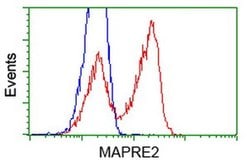 EB2 (MAPRE2) Monoclonal Antibody (OTI1D10), TrueMAB , OriGene 30 &mu;L;