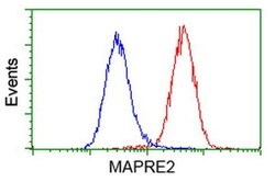EB2 (MAPRE2) Monoclonal Antibody (OTI1D10), TrueMAB , OriGene 30 &mu;L;
