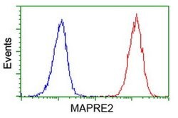 EB2 (MAPRE2) Monoclonal Antibody (OTI1D10), TrueMAB , OriGene 30 &mu;L;