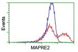 EB2 (MAPRE2) Monoclonal Antibody (OTI7C10), TrueMAB , OriGene 30 &mu;L;