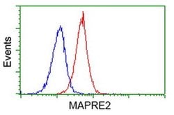 MAPRE2 Monoclonal Antibody (OTI3C4), TrueMAB , OriGene 30 &mu;L; Unconjugated:Antibodies,