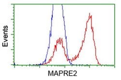 EB2 (MAPRE2) Monoclonal Antibody (OTI4G1), TrueMAB , OriGene 30 &mu;L;