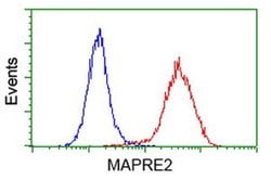EB2 (MAPRE2) Monoclonal Antibody (OTI4G1), TrueMAB , OriGene 30 &mu;L;
