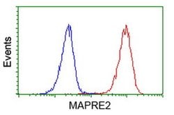 EB2 (MAPRE2) Monoclonal Antibody (OTI4G1), TrueMAB , OriGene:Antibodies:Primary