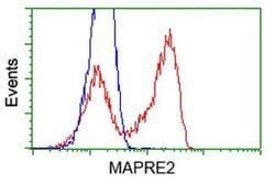 EB2 (MAPRE2) Monoclonal Antibody (OTI5F3), TrueMAB , OriGene 30 &mu;L;