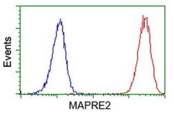 EB2 (MAPRE2) Monoclonal Antibody (OTI5F3), TrueMAB , OriGene 30 &mu;L;