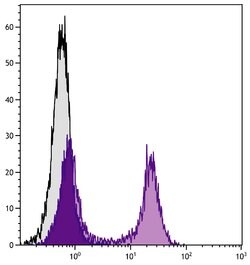Invitrogen CD22 Monoclonal Antibody (2D6), FITC 500 &mu;g; FITC:Antibodies,
