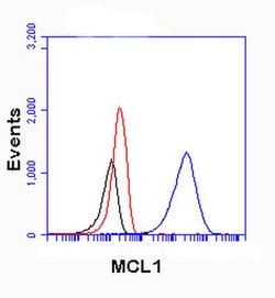 MCL1 Mouse anti-Human, Clone: OTI2E11, liquid, TrueMAB 30 &mu;L | Buy Online | Origene Technologies | Fisher Scientific