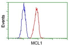 MCL1 Mouse anti-Human, Clone: OTI2E11, liquid, TrueMAB 30 &mu;L | Buy Online | Origene Technologies | Fisher Scientific