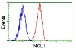 MCL1 Mouse anti-Human, Clone: OTI2E11, liquid, TrueMAB 30 &mu;L | Buy Online | Origene Technologies | Fisher Scientific
