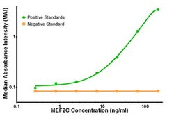 MEF2C Mouse anti-Human, Clone: OTI2B12, liquid, TrueMAB 100 &mu;g; Unconjugated:Antibodies,