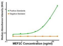 MEF2C Mouse anti-Human, Clone: OTI2B12, liquid, TrueMAB 100 &mu;g; Unconjugated:Antibodies,