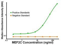 MEF2C Mouse anti-Human, Clone: OTI2B12, liquid, TrueMAB 100 &mu;g; Unconjugated:Antibodies,