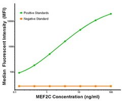 MEF2C Mouse anti-Human, Clone: OTI1D1, liquid, TrueMAB 100 &mu;g; Unconjugated:Antibodies,
