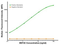 MEF2C Mouse anti-Human, Clone: OTI1D1, liquid, TrueMAB 100 &mu;g; Unconjugated:Antibodies,