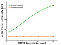 MEF2C Mouse anti-Human, Clone: OTI1D1, liquid, TrueMAB 100 &mu;g; Unconjugated:Antibodies,