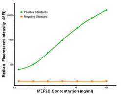 MEF2C Mouse anti-Human, Clone: OTI2B12, liquid, TrueMAB 100 &mu;g; Unconjugated:Antibodies,