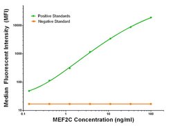 MEF2C Mouse anti-Human, Clone: OTI2B12, liquid, TrueMAB 100 &mu;g; Unconjugated:Antibodies,
