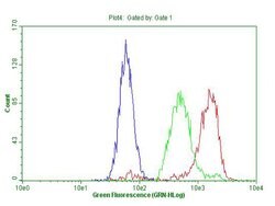 MEIS1 Monoclonal Antibody (OTI1B4), TrueMAB , OriGene 100 &mu;L; Unconjugated:Antibodies,
