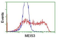 MEIS3 Monoclonal Antibody (OTI1E4), TrueMAB , OriGene 100 &mu;L; Unconjugated:Antibodies,