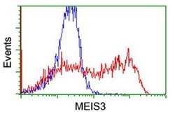 MEIS3 Monoclonal Antibody (OTI2F1), TrueMAB , OriGene 100 &mu;L; Unconjugated:Antibodies,
