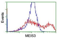 MEIS3 Monoclonal Antibody (OTI3A7), TrueMAB , OriGene 100 &mu;L; Unconjugated:Antibodies,