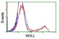 MGLL Monoclonal Antibody (OTI2B11), TrueMAB , OriGene 100 &mu;L; Unconjugated:Antibodies,