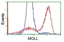 MGLL Monoclonal Antibody (OTI1A1), TrueMAB , OriGene 100 &mu;L; Unconjugated:Antibodies,