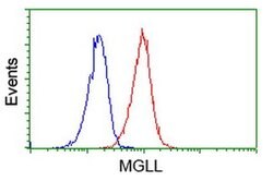MGLL Monoclonal Antibody (OTI1A1), TrueMAB , OriGene 100 &mu;L; Unconjugated:Antibodies,