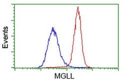 MGLL Mouse anti-Human, Clone: OTI1C6, lyophilized, TrueMAB 100 &mu;g; Unconjugated:Antibodies,