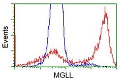 MGLL Mouse anti-Human, Clone: OTI2G8, liquid, TrueMAB 100 &mu;L; Unconjugated:Antibodies,